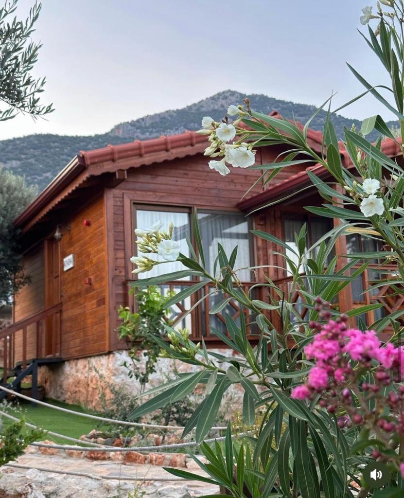 Doganin Ruhu Hotel & Bungalow Kaş Extérieur photo