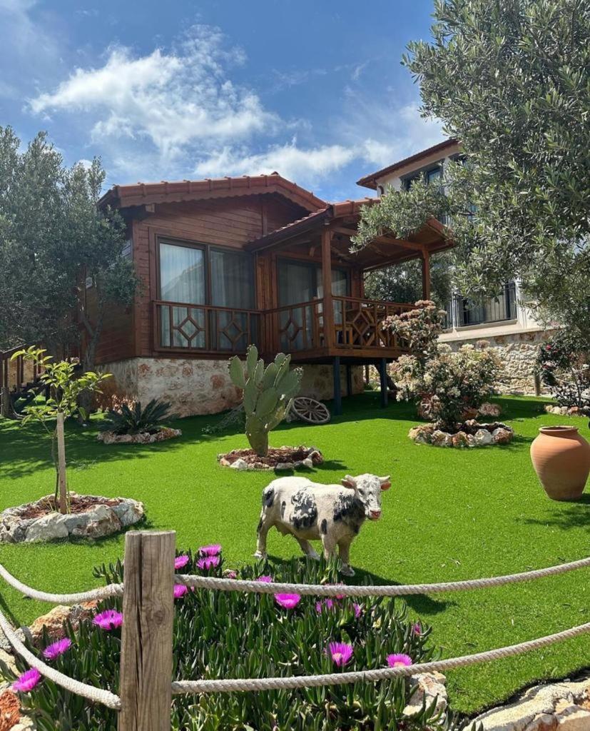 Doganin Ruhu Hotel & Bungalow Kaş Extérieur photo