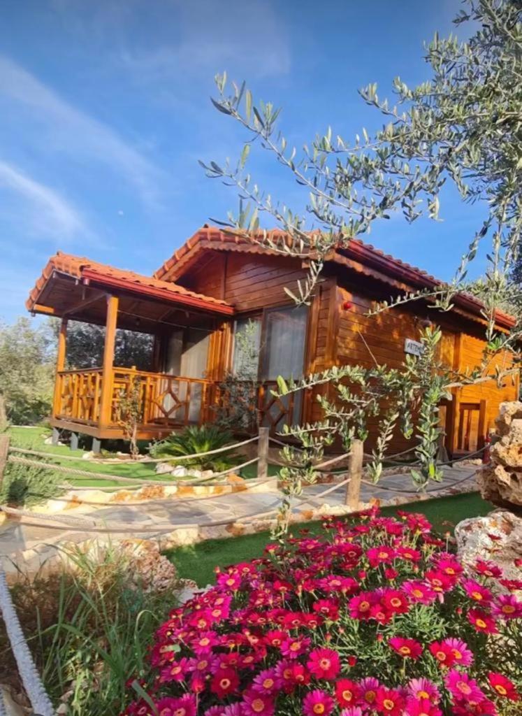 Doganin Ruhu Hotel & Bungalow Kaş Extérieur photo