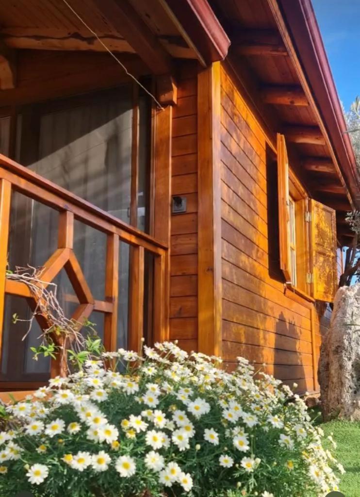 Doganin Ruhu Hotel & Bungalow Kaş Extérieur photo
